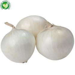 Лук репчатый белый свежий целый BRC сертификация (арт. 26-1302313)