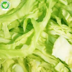 Овощи замороженные кубики капусты вакуумная упаковка 10кг (арт. 26-1302316)