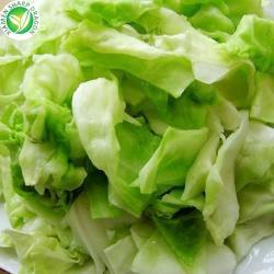 Овощи замороженные кубики капусты вакуумная упаковка 10кг (арт. 26-1302316)