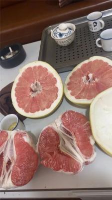 Грейпфрут свежий и помело сладкий 10кг/кор grade 1 (арт. 26-1302318)