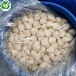 Маринованный чеснок свежий очищенный для кулинарии (арт. 26-1302321)