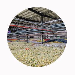 Помело китайское сертифицированное HACCP ISO для экспорта (арт. 26-1302329)