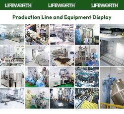 Протеиновый порошок шоколад-мята для набора массы (арт. 26-1002059)