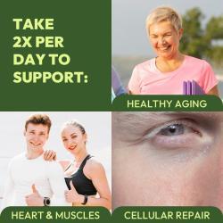 Добавка спортивная капсулы NAD+ 500 мг TMG 250 мг энергия (арт. 26-1002073)