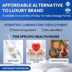 Латте чай с грибом львиная грива органический для похудения (арт. 26-1002229)